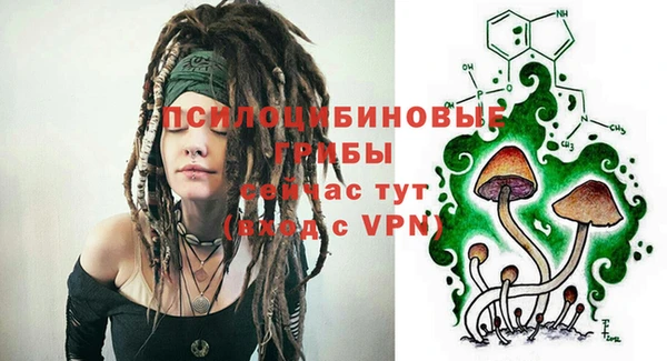 стафф Верея