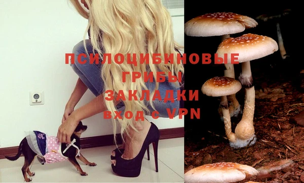 стафф Верея