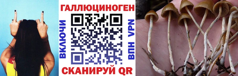 Псилоцибиновые грибы ЛСД  Нижний Новгород 